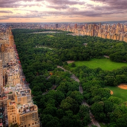 Jigsaw puzzle: Central Park New York