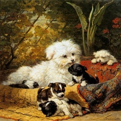 Jigsaw puzzle: Little puppies play
