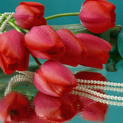 Jigsaw puzzle: Tulips and pearls