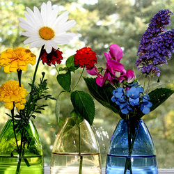 Jigsaw puzzle: Flowers on the window