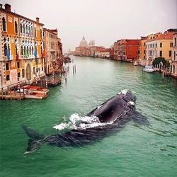 Jigsaw puzzle: Once upon a time in Venice