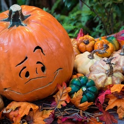 Jigsaw puzzle: Halloween pumpkins