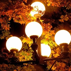 Jigsaw puzzle: Lanterns in the night
