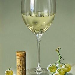 Jigsaw puzzle: Sun and wind in a glass of dry chablis