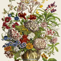 Jigsaw puzzle: July. Botanical illustrations