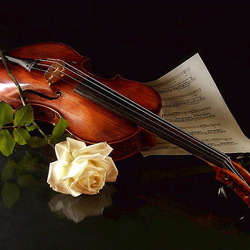 Jigsaw puzzle: Violin and rose