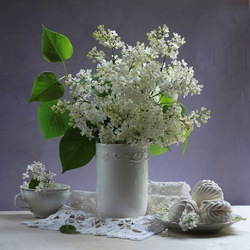 Jigsaw puzzle: White lilac lace