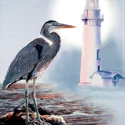 Jigsaw puzzle: Heron in a circle of light
