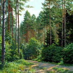 Jigsaw puzzle: The road in the pine forest