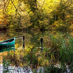 Jigsaw puzzle: Boat on the pond