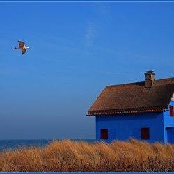 Jigsaw puzzle:  Blue house by the sea