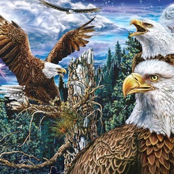 Jigsaw puzzle: Eagles