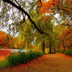 Jigsaw puzzle: Bright colors of autumn