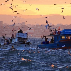 Jigsaw puzzle: Morning on the Sea of Marmara
