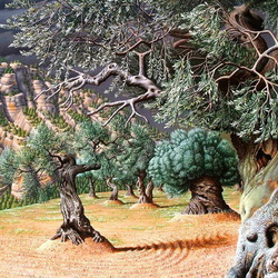 Jigsaw puzzle: Olive trees