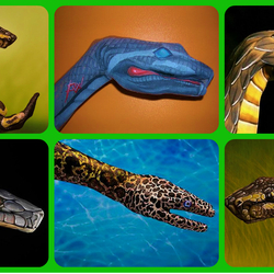 Jigsaw puzzle: Snakes