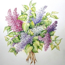 Jigsaw puzzle: Delicate bouquet of lilacs