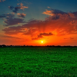 Jigsaw puzzle:  Field in the rays of sunset
