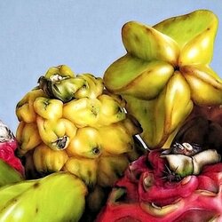 Jigsaw puzzle: Exotic fruits