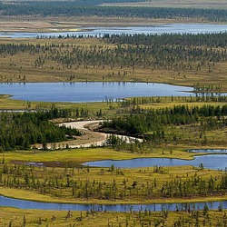 Jigsaw puzzle: The landscape of the north of Siberia