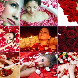 Jigsaw puzzle: Compliment of roses