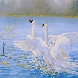 Jigsaw puzzle: Swans