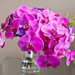 Jigsaw puzzle: Orchid bouquet