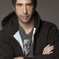 Jigsaw puzzle: David Schwimmer