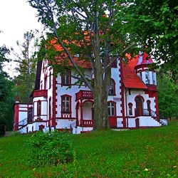 Jigsaw puzzle: Old house in the forest