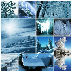 Jigsaw puzzle: Winter collage