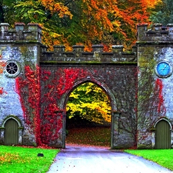 Jigsaw puzzle: Gateway to autumn