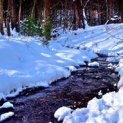 Jigsaw puzzle:  Non-freezing stream