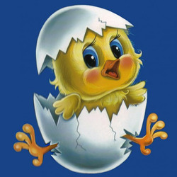 Jigsaw puzzle: Chick