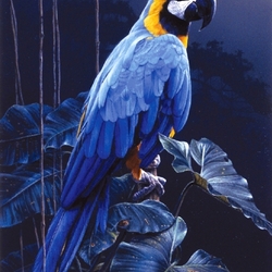 Jigsaw puzzle: Blue parrot
