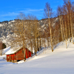 Jigsaw puzzle: In winter in the mountains