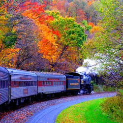 Jigsaw puzzle: Train in autumn