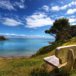 Jigsaw puzzle: Bench by the water