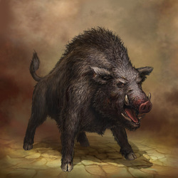 Jigsaw puzzle: Boar! Boar!