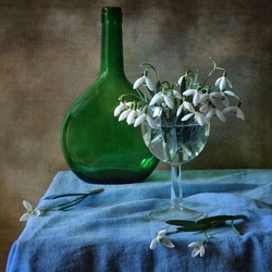 Jigsaw puzzle: Still life with snowdrops