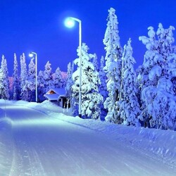 Jigsaw puzzle: Finnish Lapland