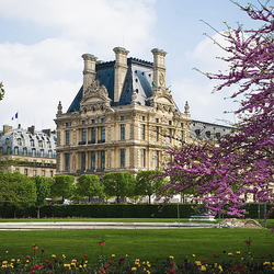 Jigsaw puzzle: Tuileries Palace