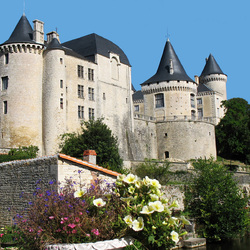 Jigsaw puzzle: La Rochefoucauld Castle