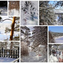 Jigsaw puzzle: Winter collage