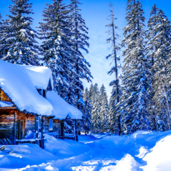 Jigsaw puzzle: Winter in Russia