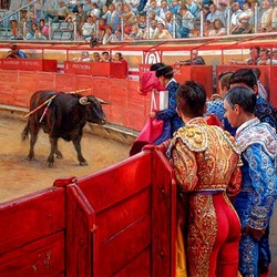 Jigsaw puzzle: Bullfighting
