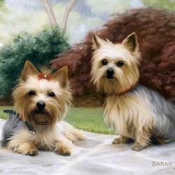 Jigsaw puzzle: Cute dogs